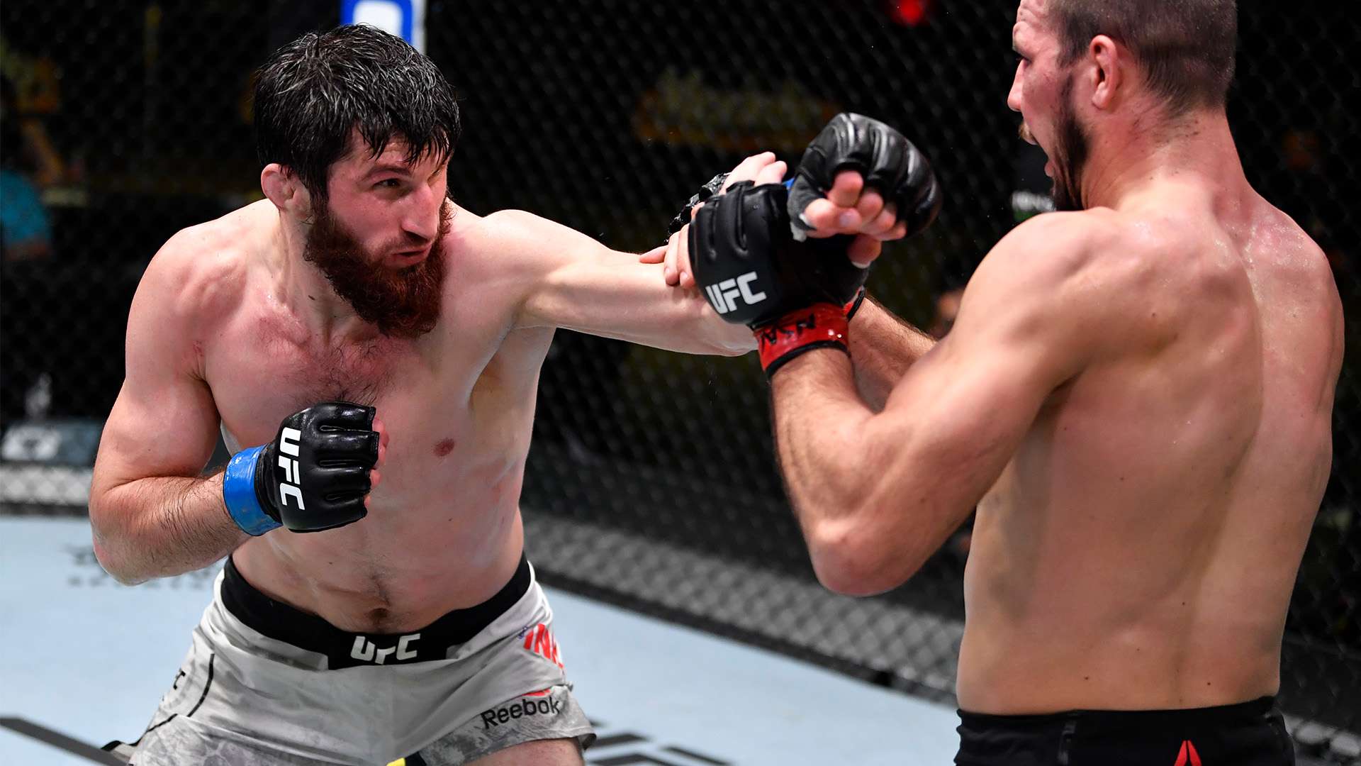 中收获了一 中收获了一